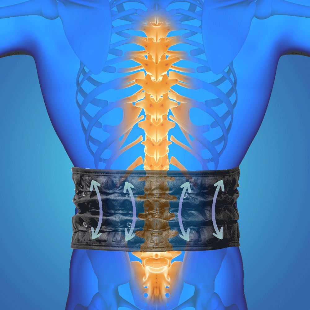 Фіксуючий поперековий опорний пояс inSPORTline Lombes Розмір M